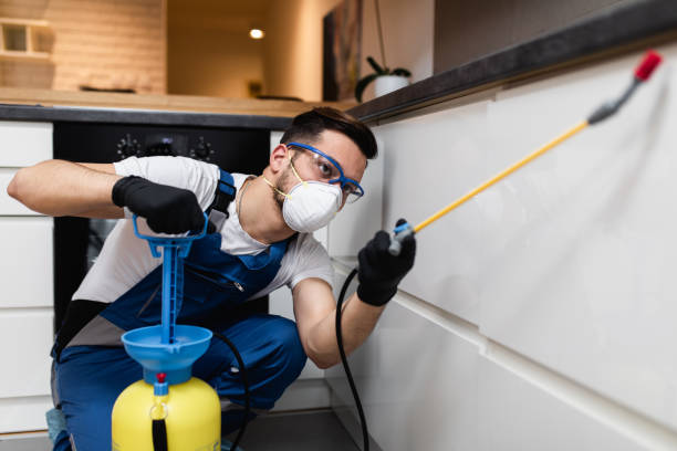 Best Best Pest Control Companies  in Bellport, NY