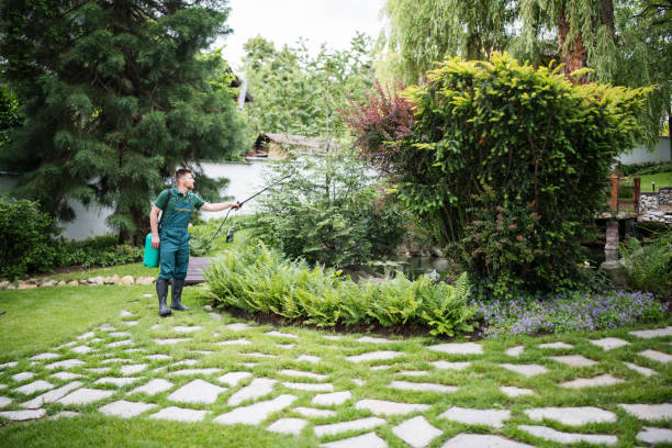Best Pest Removal Services  in Bellport, NY