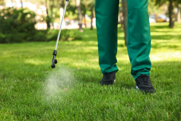 Wasp Removal Services in Bellport, NY