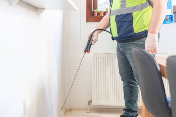 Best Mosquito Control Services  in Bellport, NY