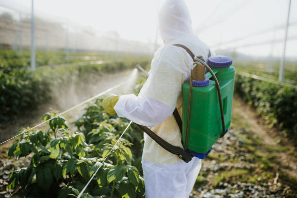 Best Pest Prevention Services  in Bellport, NY